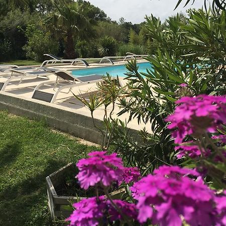Appart'Hotel Et Chambres Essentiel Spa آرْلْ المظهر الخارجي الصورة